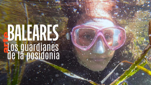 Baleares: Los guardianes de la posidonia Documentary Subtitle + voice-over translation