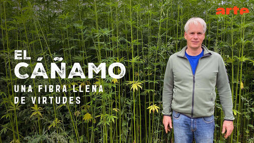 El cáñamo, una fibra llena de virtudes Documentary Subtitle + voice-over translation
